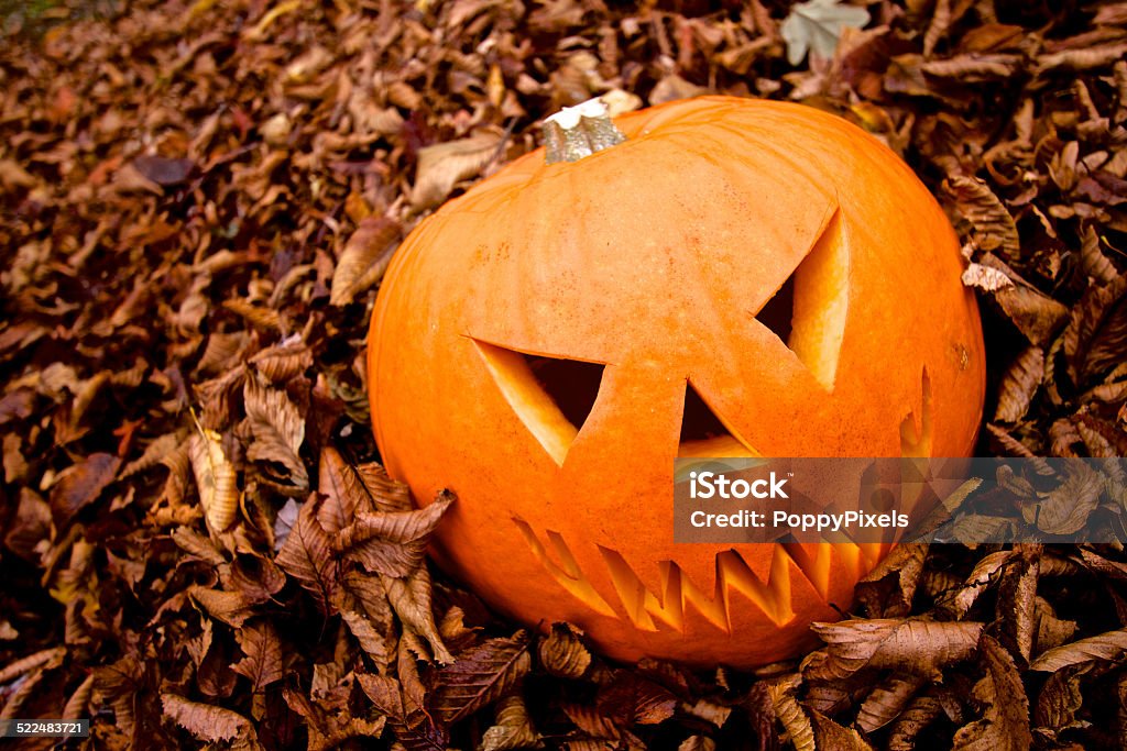 Halloween Scary Jack-o-Lantern Pumpkin Autumn scene with Halloween pumpkin against sitting in leaves outside Autumn Stock Photo