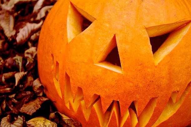 Autumn scene with Halloween pumpkin against sitting in leaves outside