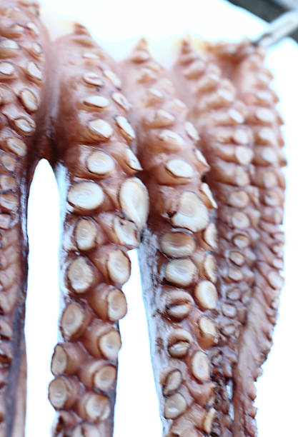Only octopus Big octopus octopus giant octopus sea horror stock pictures, royalty-free photos & images