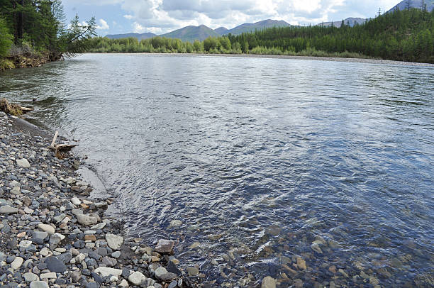 istock Landscape North of the river. 522484463