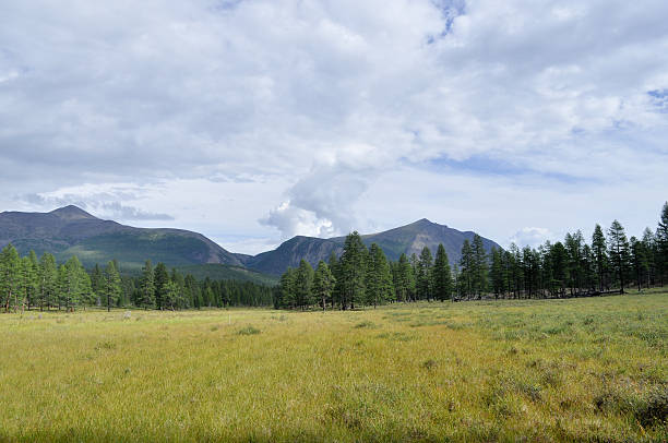 istock Grassy valley along the mountain ridge. 522484471