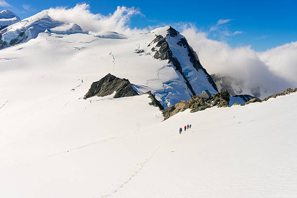 istock New Zealand 522485057