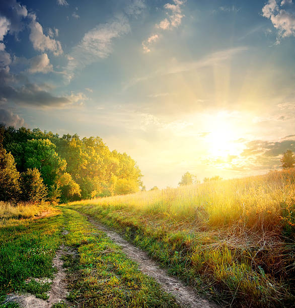 Sunbeams and country road Sunbeams and country road in the autumn sunrise dawn stock pictures, royalty-free photos & images