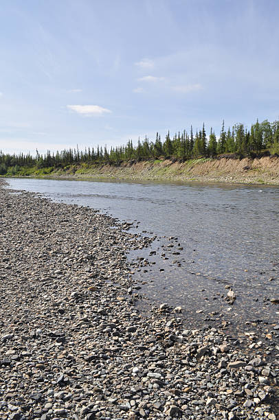 istock Landscape of the Northern boreal river. 522486045