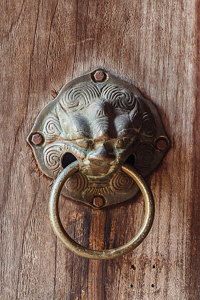old türklopfer - door knocker door lion luxury stock-fotos und bilder