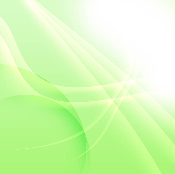 istock Abstact color green and white tones background. 522487205