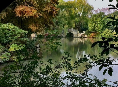 Shanghai, China - November 20, 2012: This image captures a peek through the trees at a traditional old style stone arched bridge on a scenic lake.