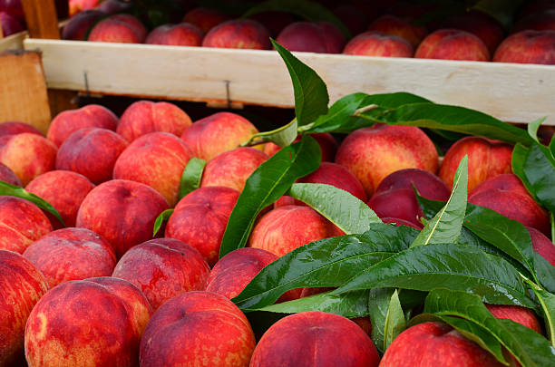 Peaches and leaves