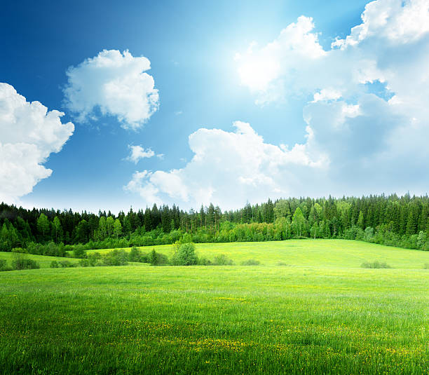 istock field of grass and perfect sky 522508409