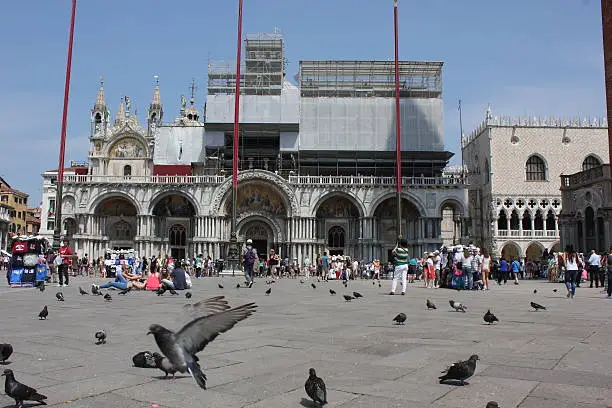 Venice, Italy: St.Mark's Square Basilica, the principal public square of Venice, through people and a bird flying