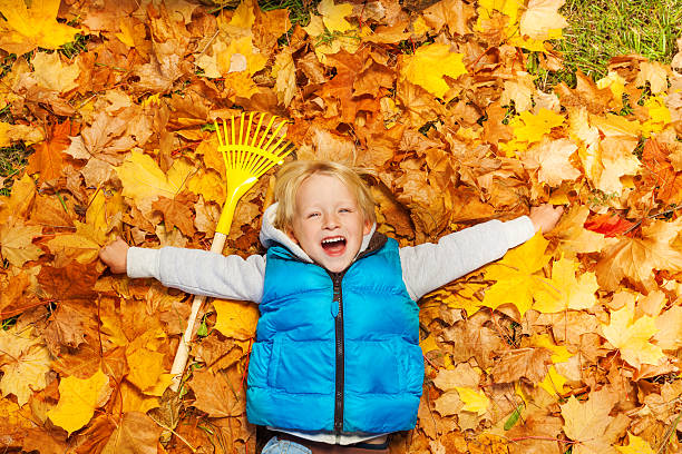 garçon de rire allongé sur les feuilles d'automne avec râteau - râteau photos et images de collection