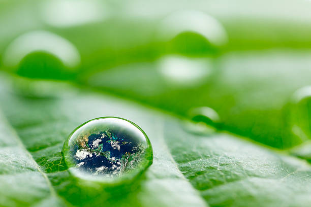istock leaf with rain drop  - Recovery  earth concept 522512163