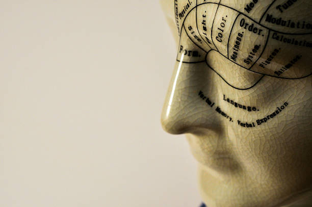 istock Porcelain psychology scientific phrenology head 522512255