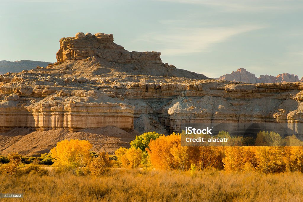 Fall Color, Canyonlands National Park, Utah Yellow aspens in autumn foliage, Canyonlands National Park, Utah. Autumn Stock Photo