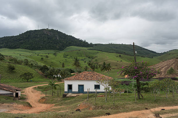 istock Brazil, Sugar Plantation 522513781