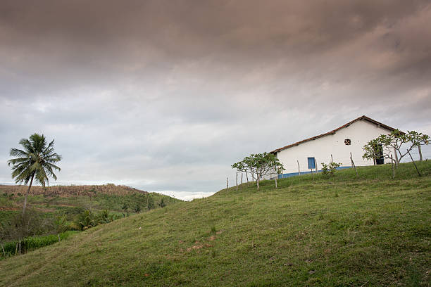 Sugar plantation in Vicência, state of Pernambuco, 81 km Northwest from the state capital Recife.