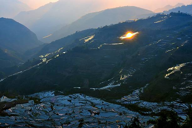 coucher de soleil sur les champs en terrasse - agriculture artificial yunnan province china photos et images de collection