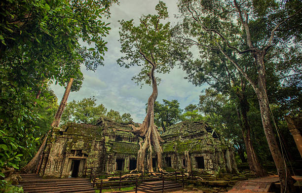 Ta Prohm at Angkor Wat stock photo