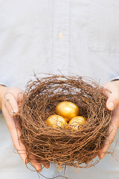 istock hands out golden eggs and  nest 522521561