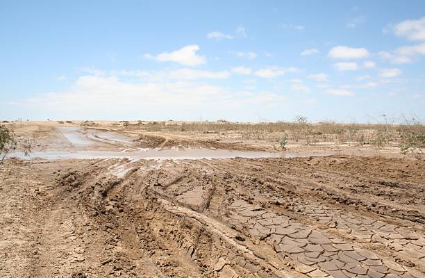 istock Muddy Salt Road after heavy rain, Skeleton Coast, Namibia, Africa 522524545