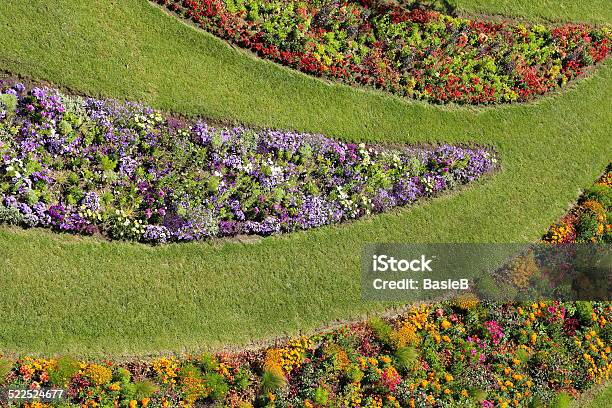 Blumengarten Im Sommer Stockfoto und mehr Bilder von Blumenausstellung - Blumenausstellung, Blume, Blume aus gemäßigter Klimazone