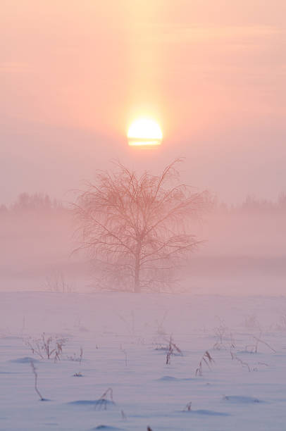 istock Beautiful winter landscape with sunset 522525819