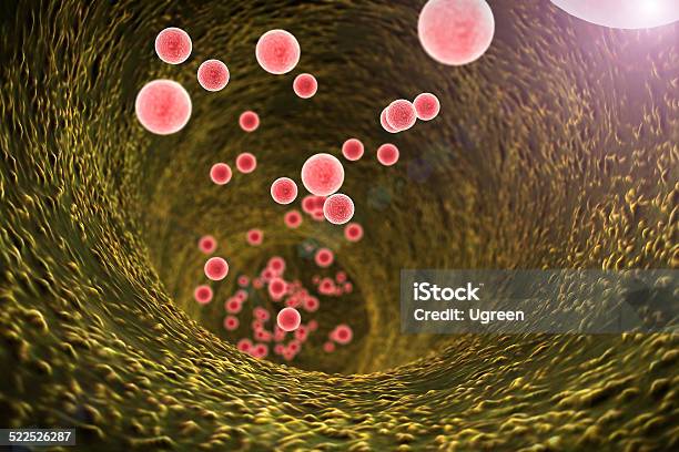 Esophagus Bacteria Stock Photo - Download Image Now - Bacterium, Stomach, Adipose Cell