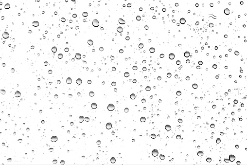 Black water drops in the white background.