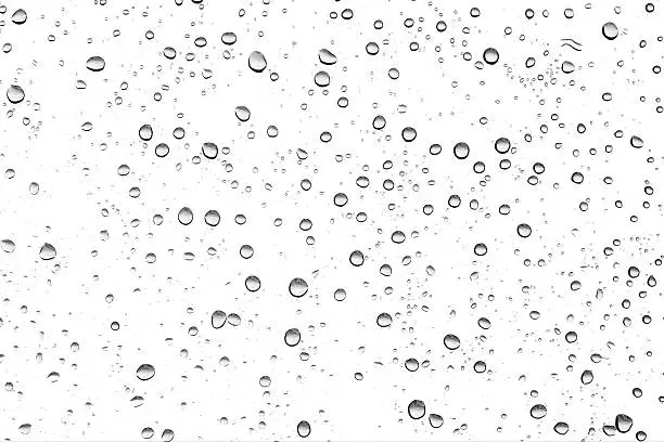 Black water drops in the white background.
