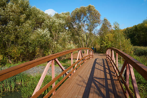 istock On the wooden bridge 522527007