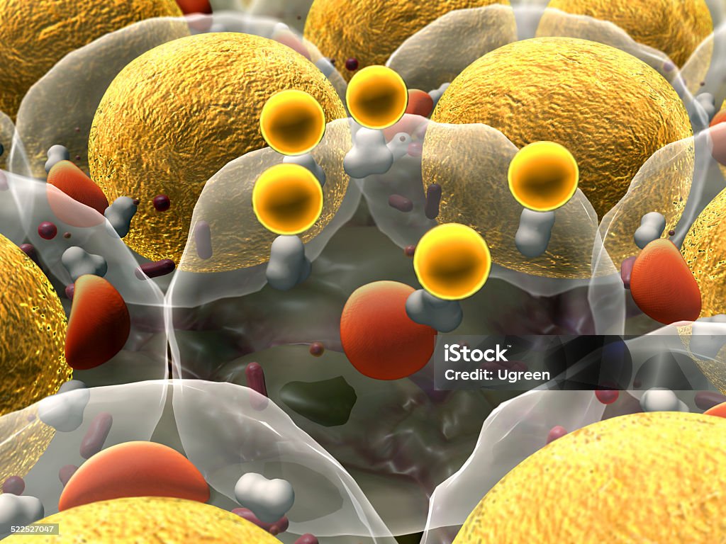 cells, cell structure field of fat cells, High quality 3d render of fat cells, cholesterol in a cells, field of cells, Cell division, Microscopic image of cells, 3d rendering, Cells, Medical video background Adipose Cell Stock Photo