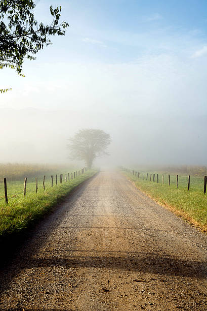 istock Cades Cove morning mist with tree in mist 522527153
