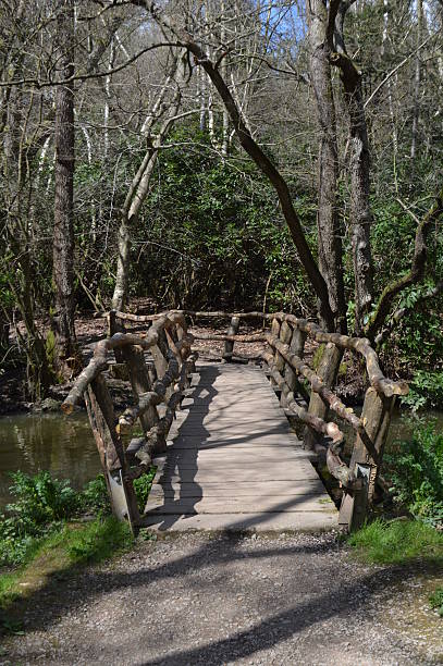 istock Rustic wood pedestrian footbridge. 522527368