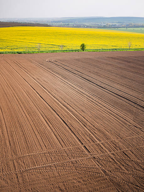 istock Plowed field in spring-time with tractor tyre track 522528884