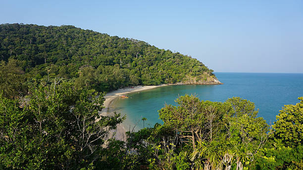 istock coast of ko lanta 522529990