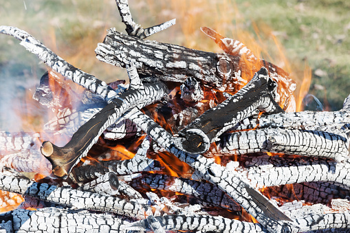 Burning charred logs and branches on a campfire.