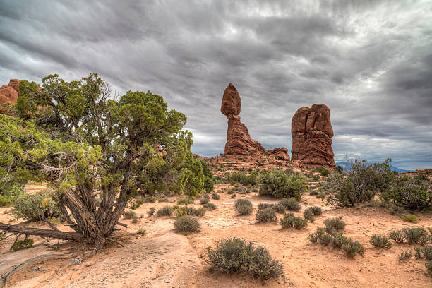 arches national park - usa arches national park balanced rock colorado plateau stock-fotos und bilder