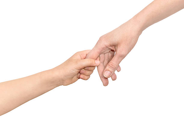 istock The child holds his mother's hand. Isolated on white. 522539456