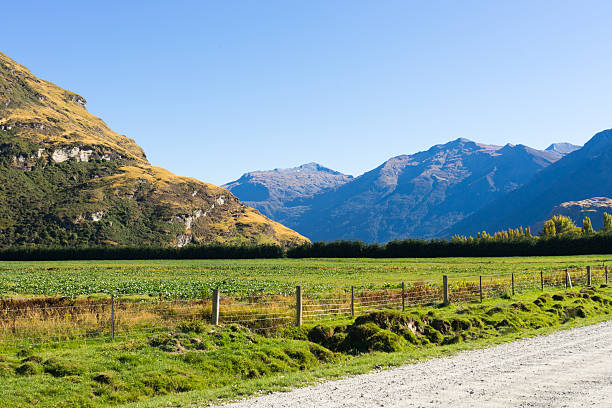istock Picturesque landscape 522539843