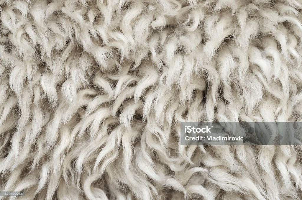 Wool sheepskin White wool sheepskin fur texture close, full frame background. Full Frame Stock Photo