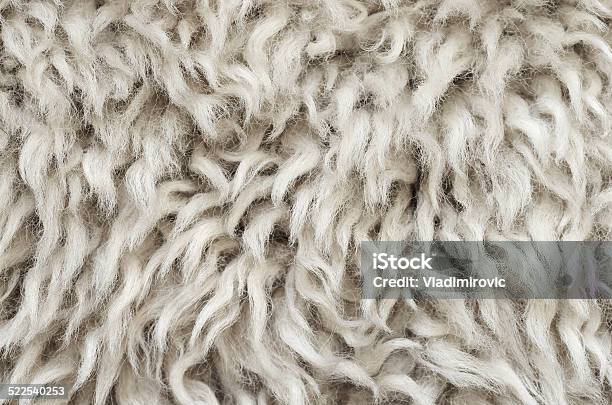 Wool Sheepskin Stock Photo - Download Image Now - Full Frame, Sheep, Textured