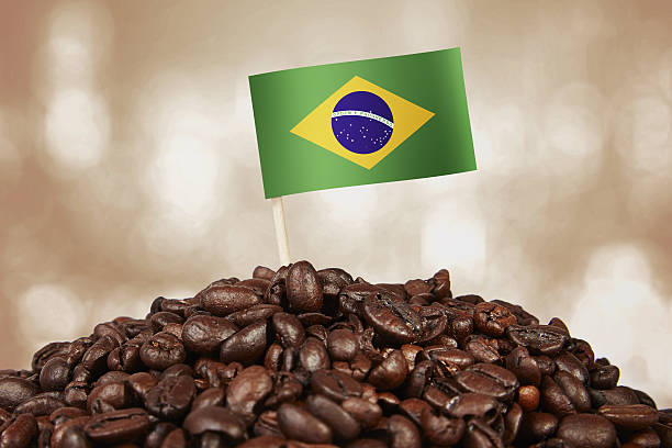 бразильский кофе - coffee bean cafe burlap sack burlap стоковые фото и изображения
