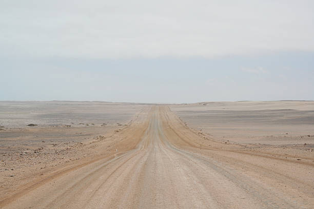 salt road, costa di scheletro, namibia, africa - majestic landscape arid climate beach foto e immagini stock