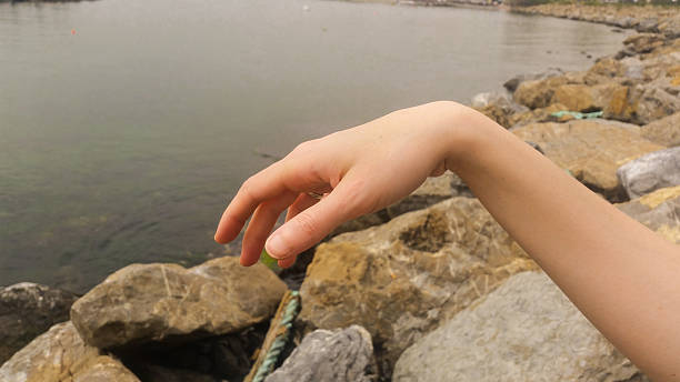 istock Close up of beautiful woman's hand, inverted open palm 522546200