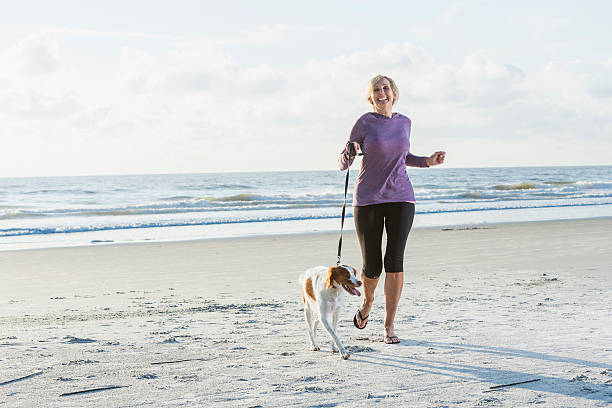 Mature woman walking dog on beach A mature woman walking her dog, a brittany spaniel, on the beach on a sunny day. She is smiling as her pet pulls ahead so she has to hold on tight to the leash. mature adult walking dog stock pictures, royalty-free photos & images