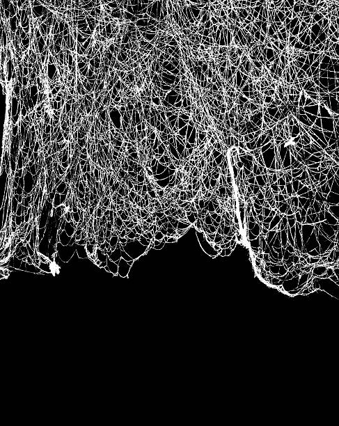 istock Silhouette of white old hanging cobweb on black background 522548530