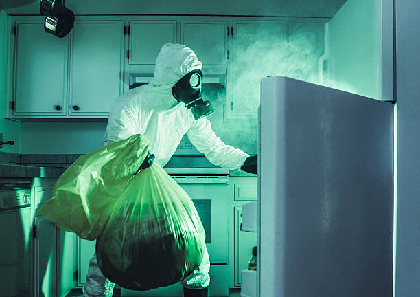 Dirty Refrigerator Cleaning in Hazmat Suit A funny depiction of a fridge that is long overdue to be cleaned.  A man wearing a hazardous materials clean suit and gas mask pulls things out and puts them into a yellow biohazard bag.  Smoke or steam pours from the the open refrigerator door. biohazard cleanup stock pictures, royalty-free photos & images