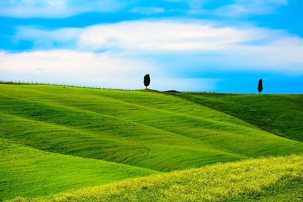 istock Green hills with flowers and trees 522550968