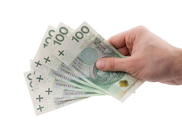 istock Polish money in hand with clipping path 522552814