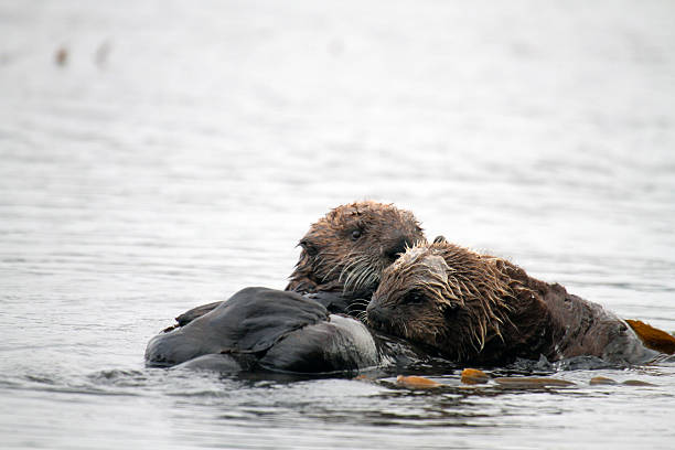 istock Mother and Baby 522555272